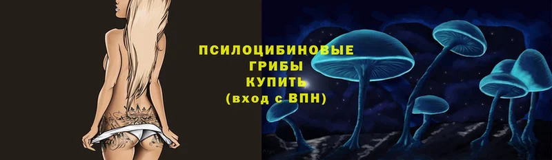 Галлюциногенные грибы Cubensis  Нерехта 